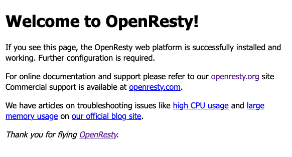 The default OpenResty welcome page The default OpenResty welcome page